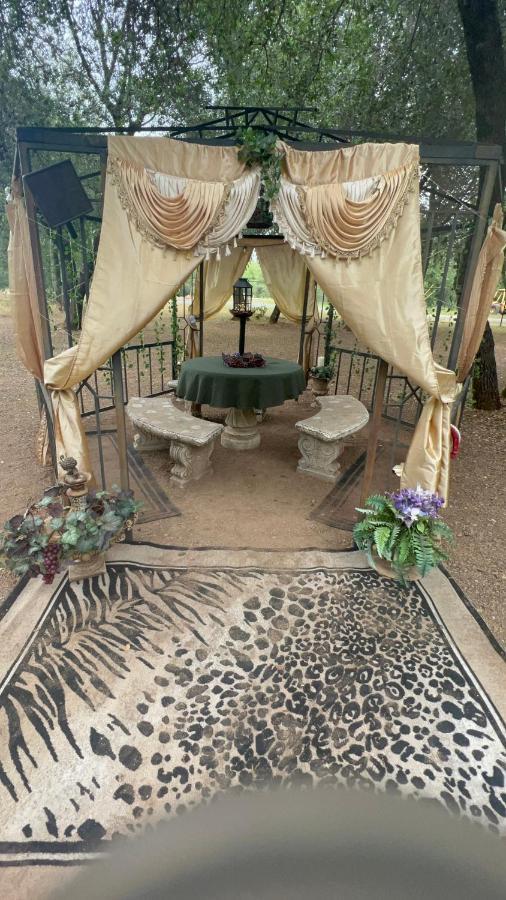 The Oasis Apartment Рединг Екстериор снимка